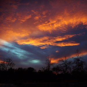 Forest Park Saint Louis Sunset with Orange clouds